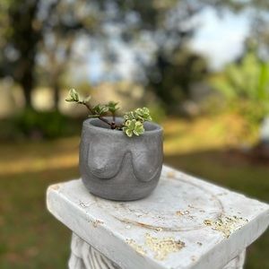 Concrete Planters for plant lovers “Boobie” for succulents, cactus 🌵 HANDMADE